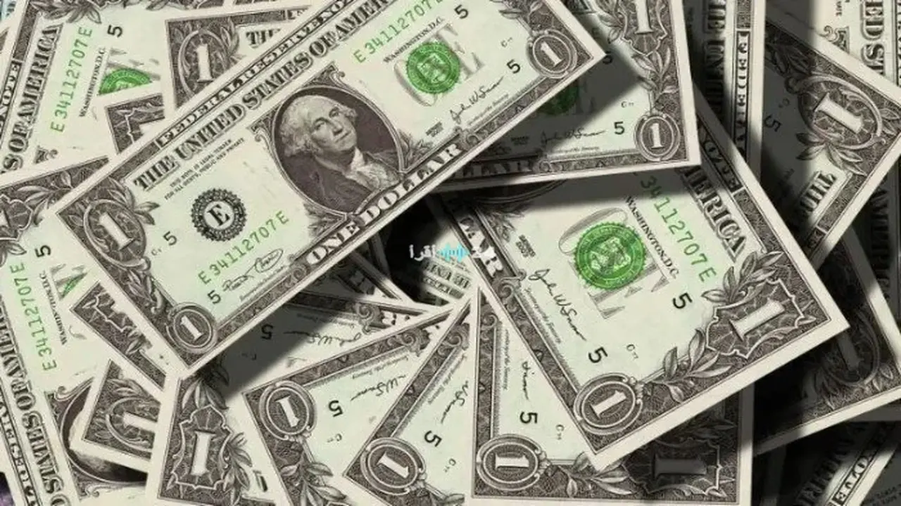 تأثير سعر الدولار مقابل الجنيه المصري على حركة المستثمرين والتجار الأحد